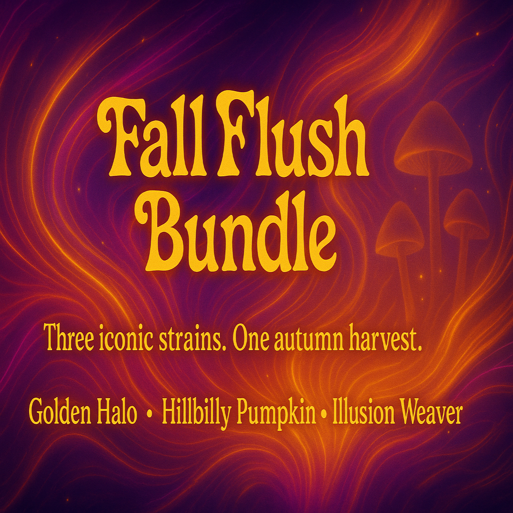 Fall Flush Bundle